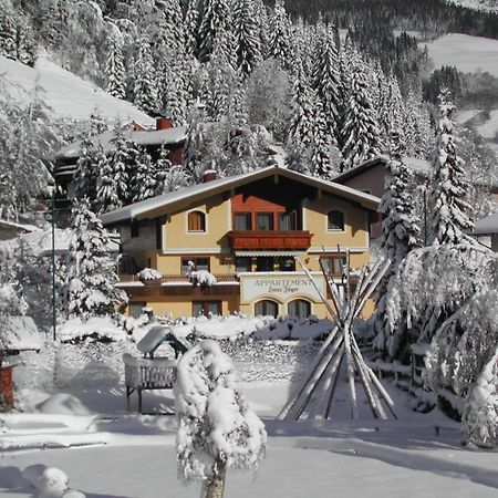 Appartements Landhaus Jäger Filzmoos Extérieur photo